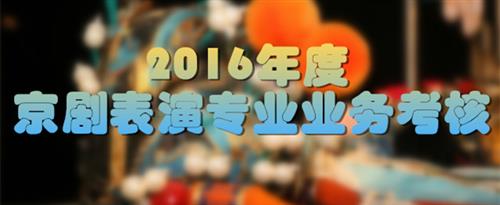 黄片操逼逼国家京剧院2016年度京剧表演专业业务考...